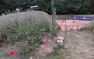 Secrets of Travelling Tennis Players