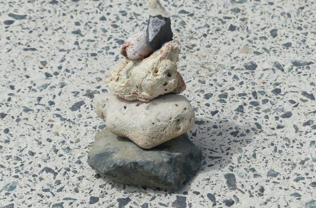 Micro-HabitS: FLIP 2026 with Just 6 Minutes