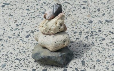 Micro-HabitS: FLIP 2026 with Just 6 Minutes