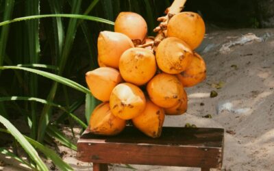 COCONUTS FOR WELLNESS