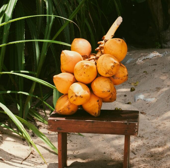 COCONUTS FOR WELLNESS